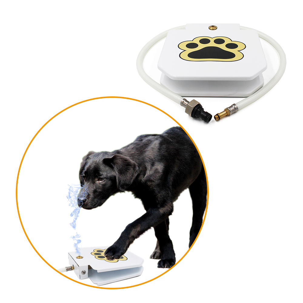 Pedal Activated Dog Fresh Water Fountain